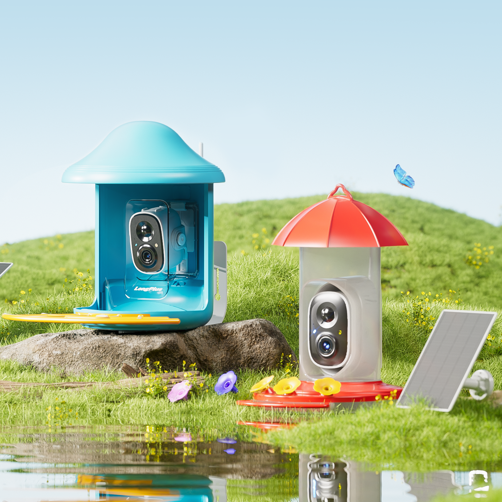 Bird Feeder 